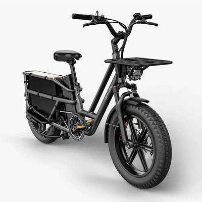 Fiido T2 Longtail Cargo E-Bike - UK