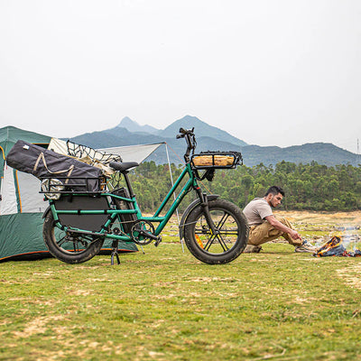 Fiido T2 Longtail Cargo E-bike