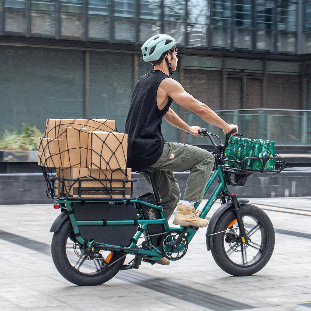 Fiido T2 Longtail Cargo E-Bike - UK