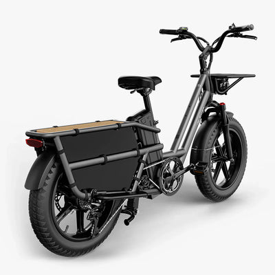 Fiido T2 Longtail Cargo E-Bike - UK