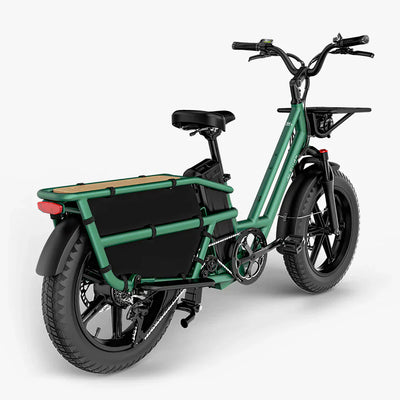 Fiido T2 Longtail Cargo E-Bike - UK