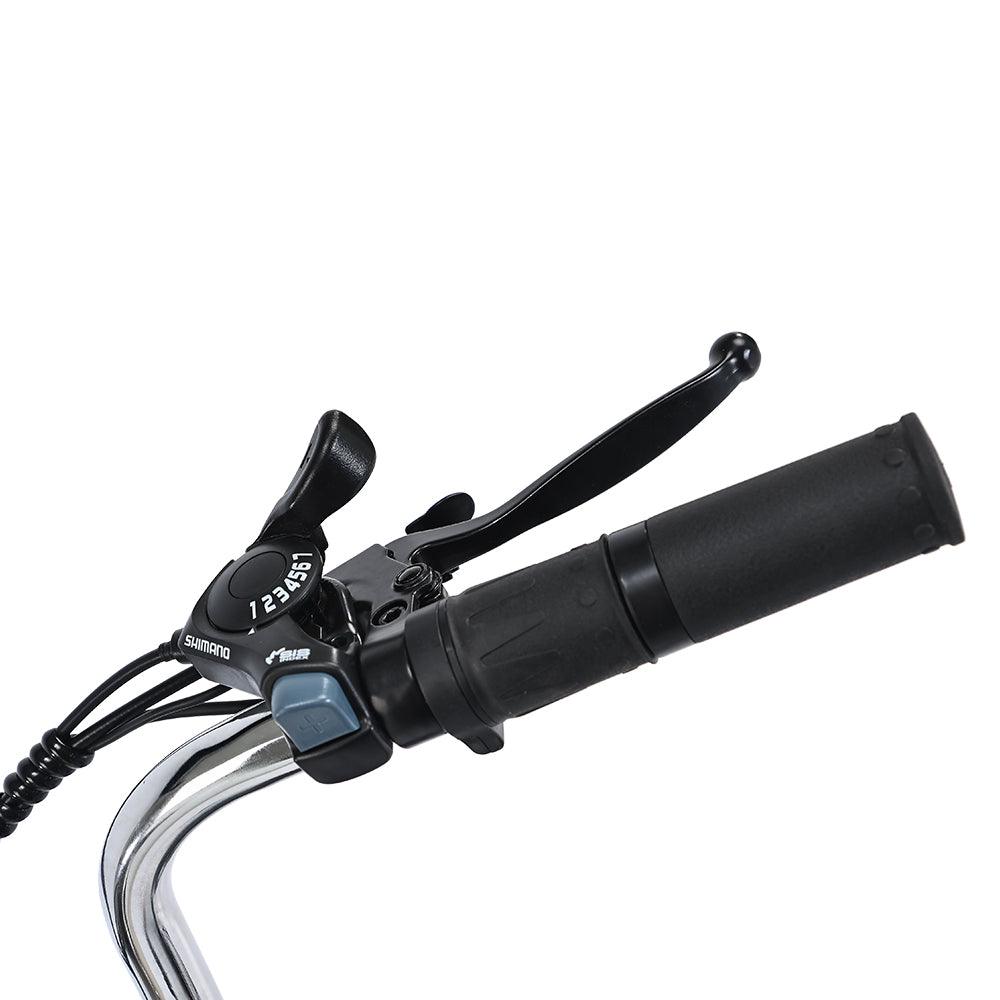 Gogobest Electric City Tricycle Cargo E-bike