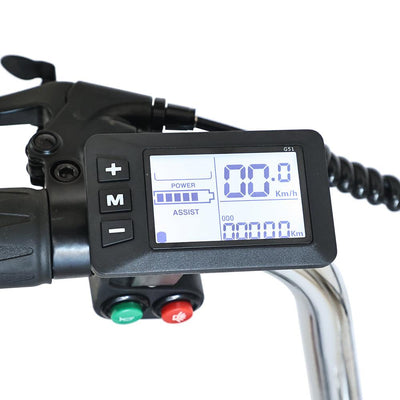 Gogobest Electric City Tricycle Cargo E-bike