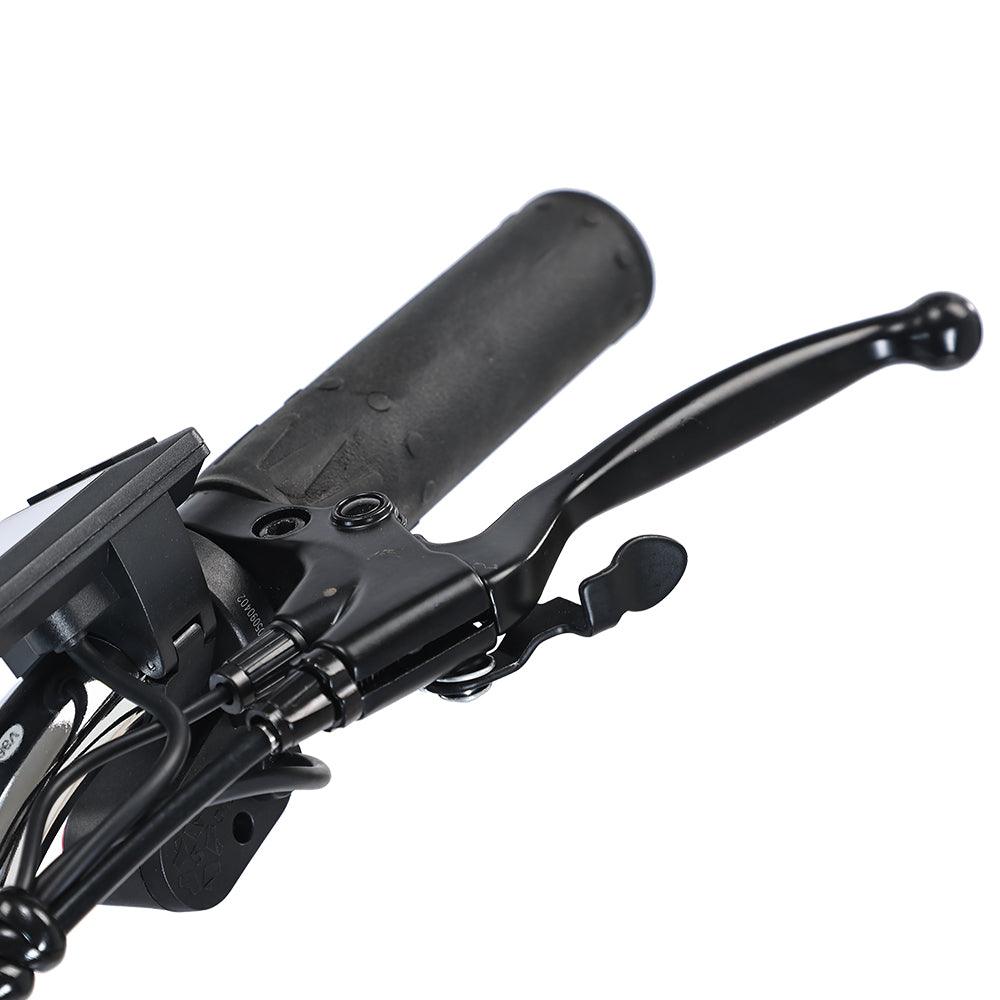 Gogobest Electric City Tricycle Cargo E-bike