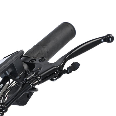 Gogobest Electric City Tricycle Cargo E-bike