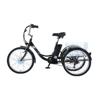 Gogobest Electric City Tricycle Cargo E-bike