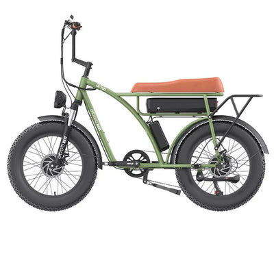 GOGOBEST GF750 Electric Bike - US