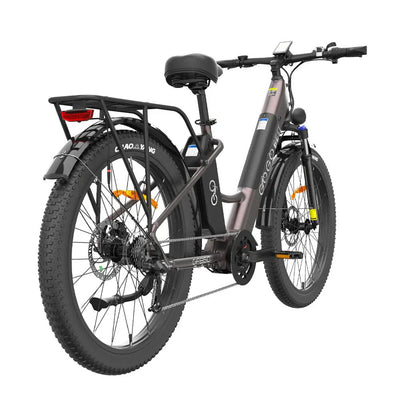 GOGOBEST GF850 Electric Bike