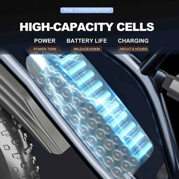 JANSNO X50 Electric Bike - UK