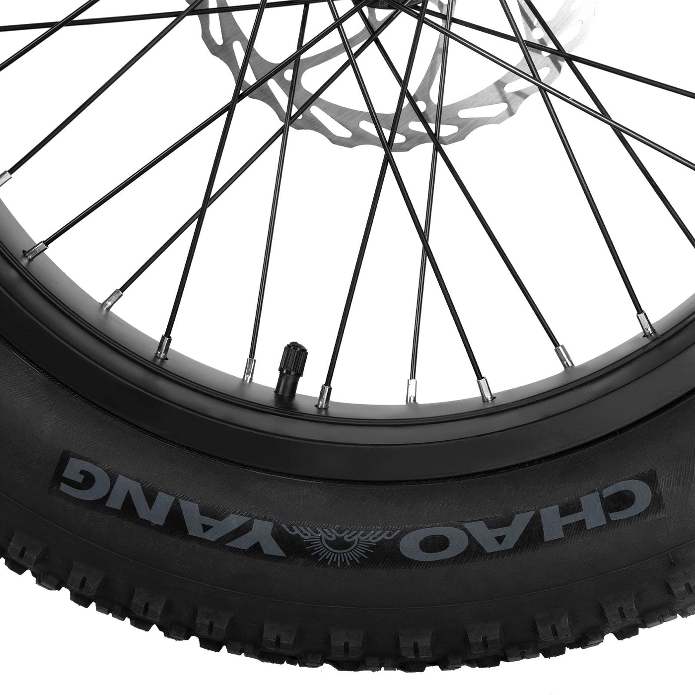 Joykie EHD302 Electric Mountain Bike