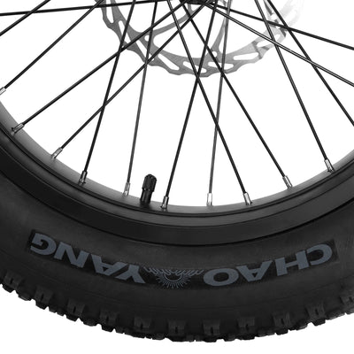 Joykie EHD302 Electric Mountain Bike