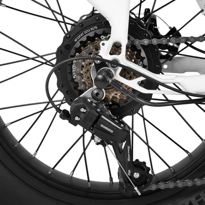 Joykie EHD303 Electric Cargo Bike