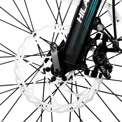 Joykie EHD303 Electric Cargo Bike