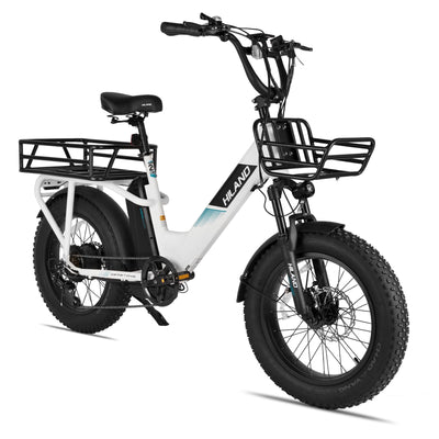 Joykie EHD303 Electric Cargo Bike