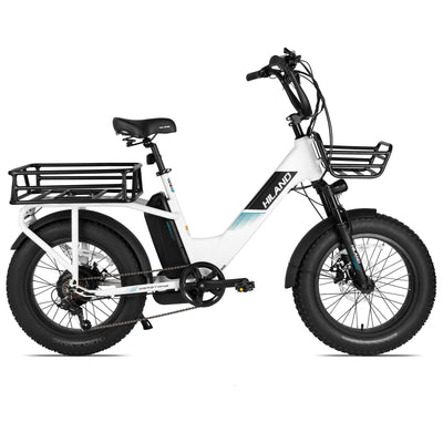 Joykie EHD303 Electric Cargo Bike