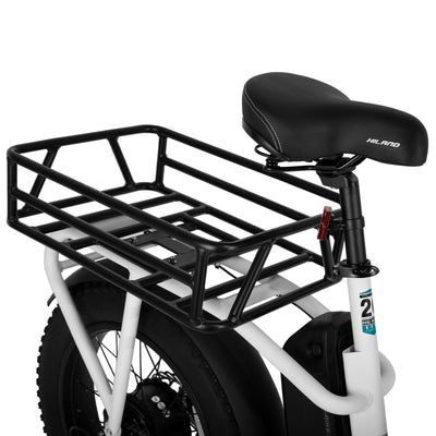 Joykie EHD303 Electric Cargo Bike