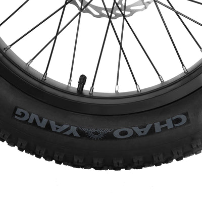 Joykie EHD303 Electric Cargo Bike