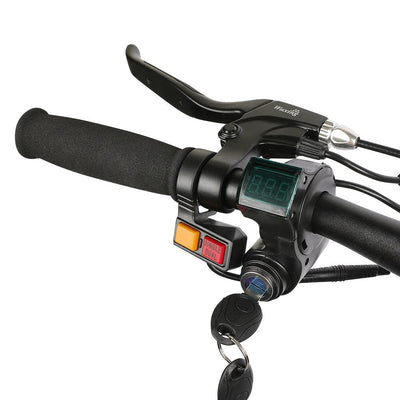 Kugoo G Booster Electric Scooter