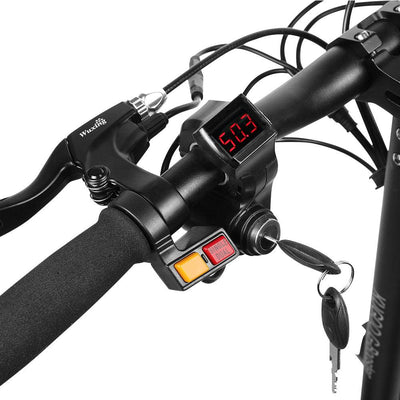 Kugoo G Booster Electric Scooter