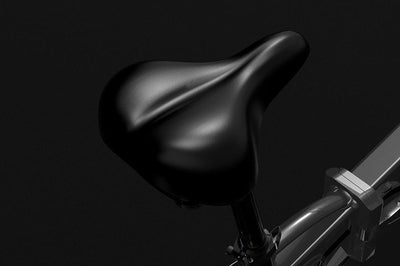 Lankeleisi G660 Folding Electric City Bike - US