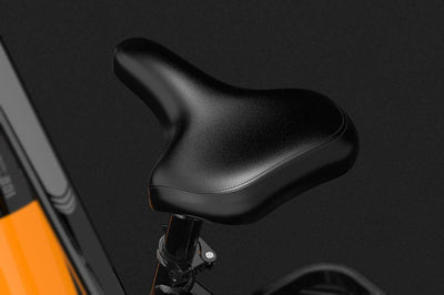 Lankeleisi MX600 Pro Electric Trekking Bike