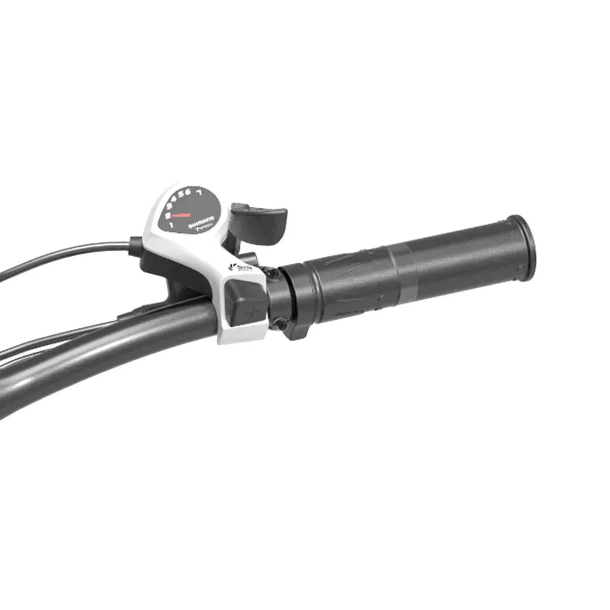 Lankeleisi XC4000 Fat Electric Bike - US