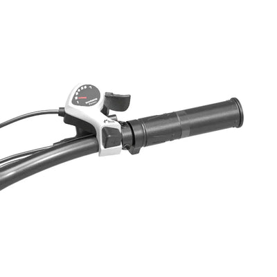 Lankeleisi XC4000 Fat Electric Bike - US