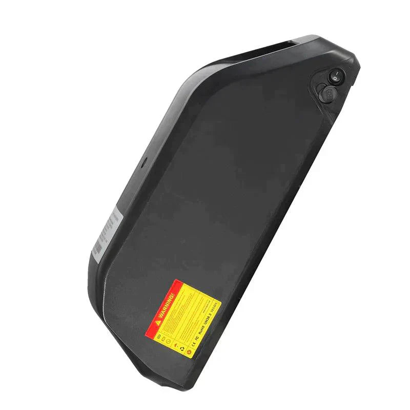 Philodo H8 Dual Motor Cargo Electric bike