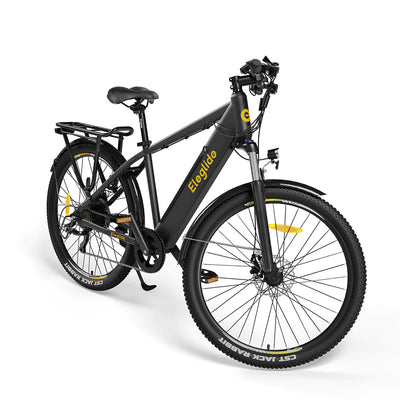 POGO T1 Electric Bike