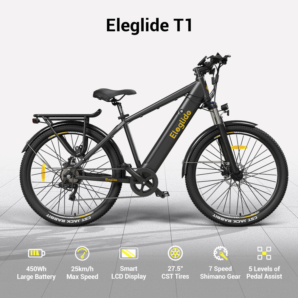 POGO T1 Electric Bike