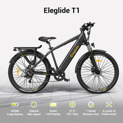POGO T1 Electric Bike