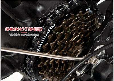 Samebike 20LVXD30 II Electric Bike - US