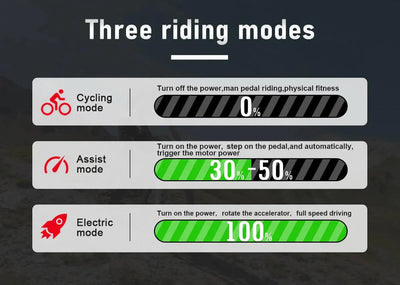 SAMEBIKE RS-A01 Electric Bike