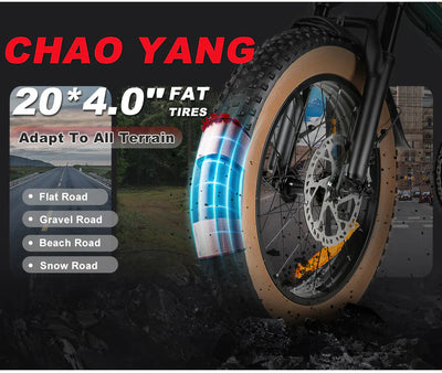 SAMEBIKE XWLX09-II Mountain Electric Bike