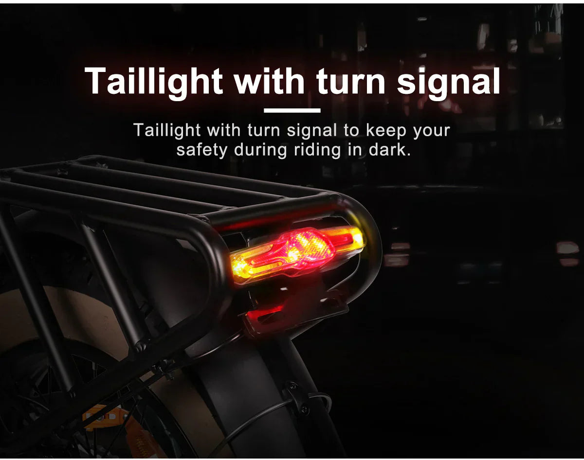 SAMEBIKE XWLX09-II Mountain Electric Bike