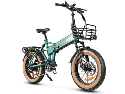 SAMEBIKE XWLX09-II Mountain Electric Bike